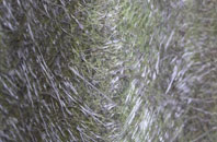 Stonewood fibreglass roof work